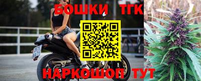индика Кингисепп