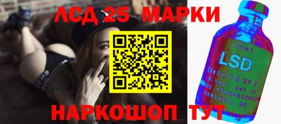 индика Кингисепп