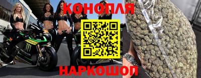 индика Кингисепп