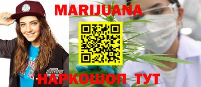 индика Кингисепп