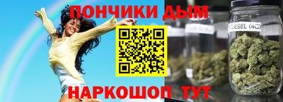 индика Кингисепп