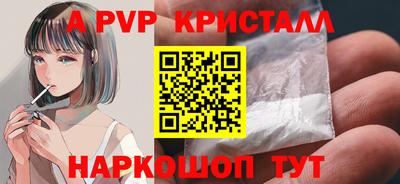 индика Кингисепп