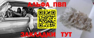 индика Кингисепп