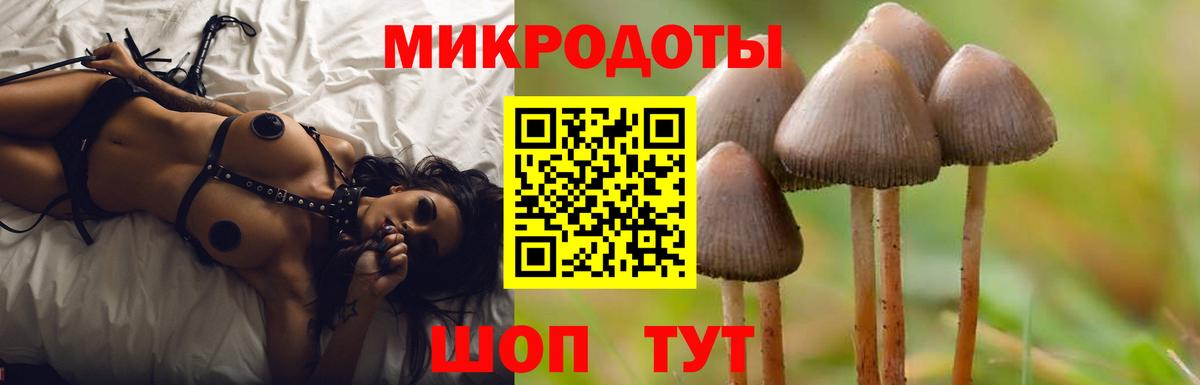 Кузнецк  Галлюциногенные грибы MAGIC MUSHROOMS  Вход с VPN 
